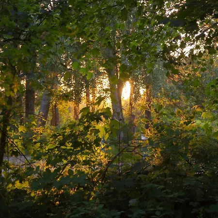 Wohnen Am Suedstrand - 0 7 Apartament *