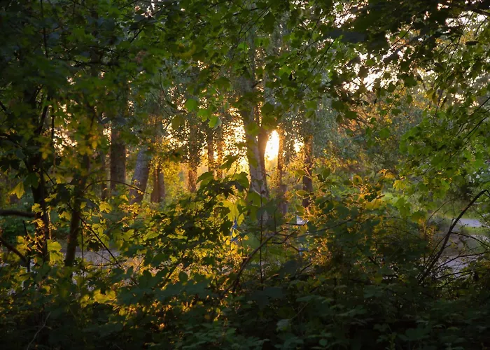 Wohnen Am Suedstrand - 0 7 Daire *