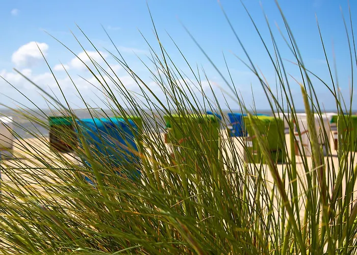 Daire Wohnen Am Suedstrand - 0 7