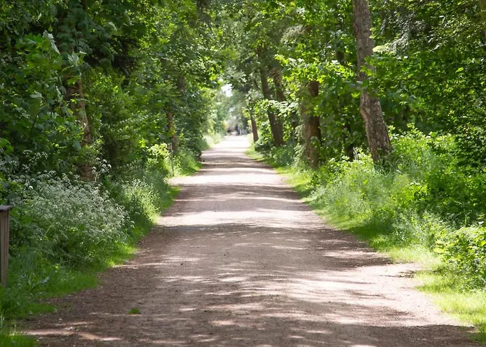 Wohnen Am Suedstrand - 0 7 Daire